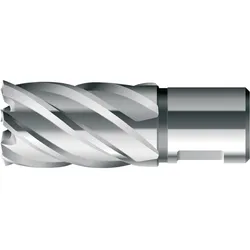 BRW, Lochsäge, HSS-Kernbohrer KBK 031 (31 mm)