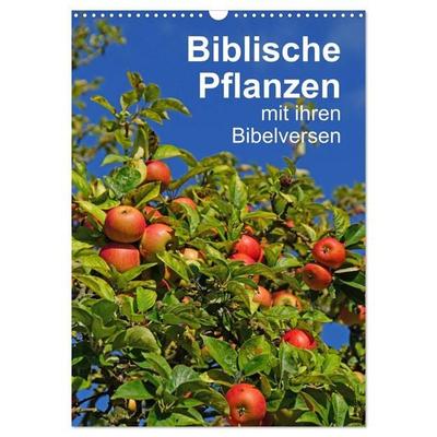 Biblische Pflanzen mit ihren Bibelversen (Wandkalender 2027 DIN A3 hoch), CALVENDO Monatskalender