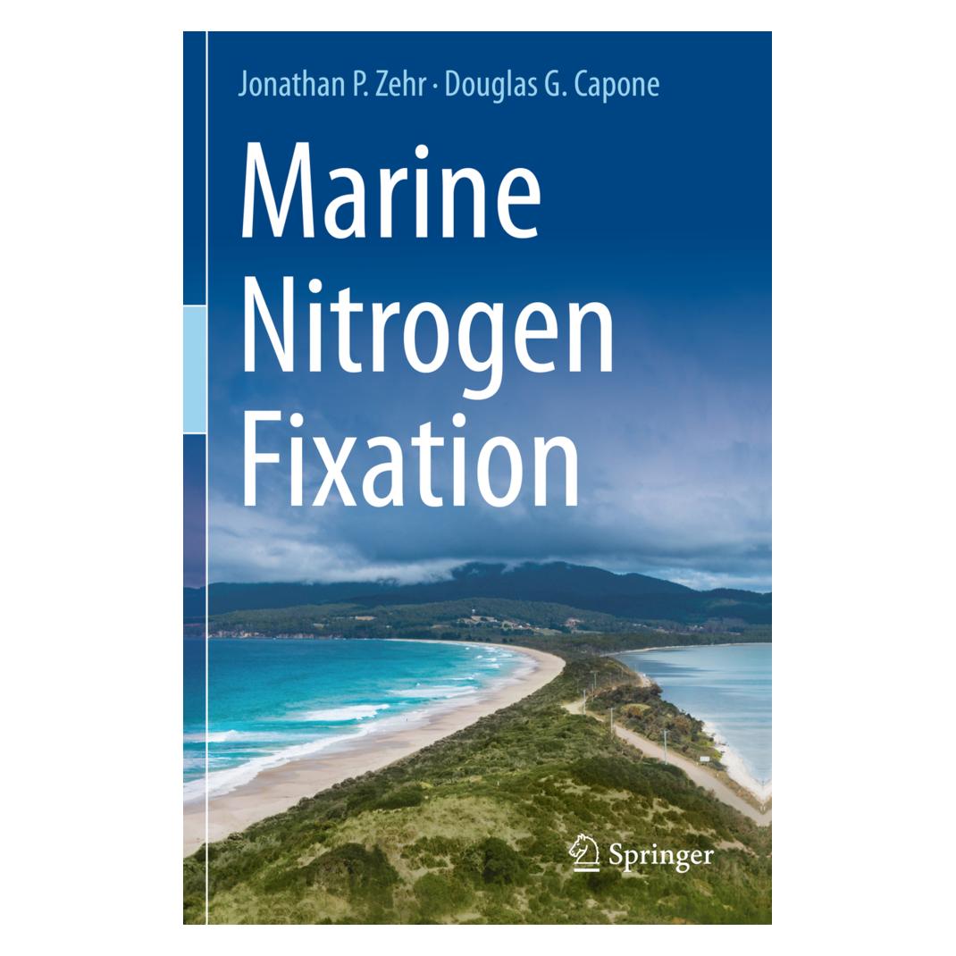 Springer Marine Nitrogen Fixation (Englisch, Softcover, Douglas G. Capone, Jonathan P. Zehr) (56827490)
