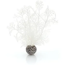 biOrb Hornkoralle klein weiß (46068)