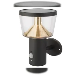 Lumineo Solar LED Wandlampe 17x23cm Edelstahl Außenwandleuchte mit Bewegungssensor Garten Wandlicht Solarlampe Außenbereich Solarleuchte