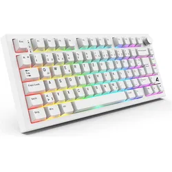 Sharkoon SGK55W wh DE (DE, Kabellos), Tastatur, Weiss
