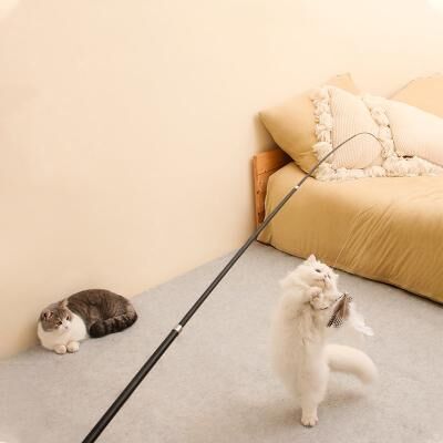 Perfect Picks Market Telescopic Feather Cat Wand Toy Extra Long Interactive Cat Teaser For Indoor Play black
