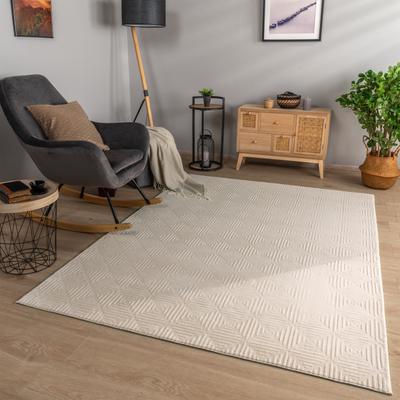 Paco Home Soft Washable Area Rug with Geometric High-Low Effect