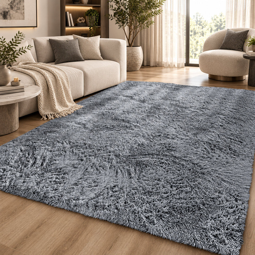 Aspire Homeware Charcoal Grey Shaggy Area Rug Soft Plush Indoor Carpet GREY Rectangle 160cm Width X 230cm Length