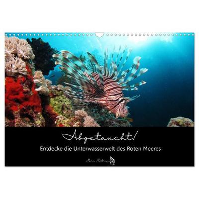 Abgetaucht! Entdecke die Unterwasserwelt des Roten Meeres (Wandkalender 2026 DIN A3 quer), CALVENDO Monatskalender