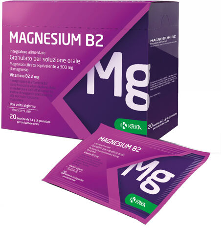 KRKA FARMACEUTICI MILANO Srl Magnesium B2 300/2 Mg 20 Buste