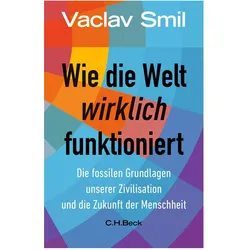 Wie die Welt wirklich funktioniert, Fachbücher von Vaclav Smil