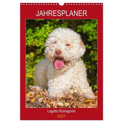 Jahresplaner Lagotto Romagnolo (Wandkalender 2027 DIN A3 hoch), CALVENDO Monatskalender