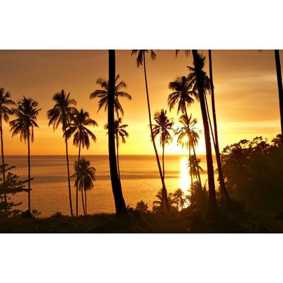 Fototapete PAPERMOON "PALMEN-STRAND-SONNENUNTERGANG KARIBIK SÜDSEE MEER SONNE", bunt, B:4m L:2,6m, Vlies, Tapeten