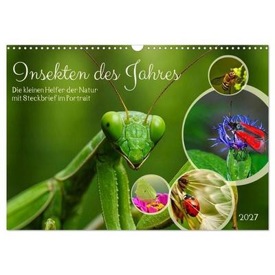 Insekt des Jahres (Wandkalender 2027 DIN A3 quer), CALVENDO Monatskalender