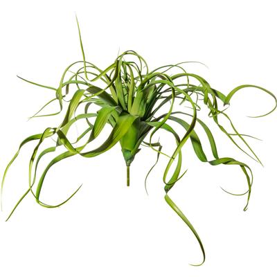 Kunstranke CREATIV GREEN "Tillandsien-Hänger", grün, H:30cm Ø:35cm, Kunststoff, Kunstpflanzen