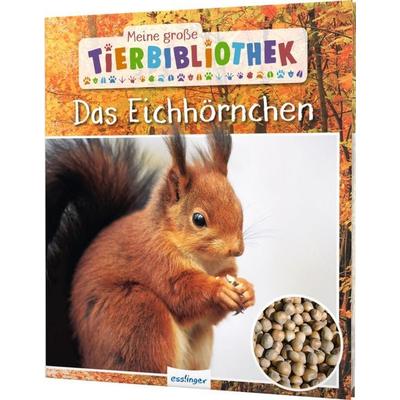 Meine große Tierbibliothek: Das Eichhörnchen, Gebundene Ausgabe von Stéphanie Ledu-Frattini, Esslinger in der Thienemann-Esslinger Verlag GmbH,