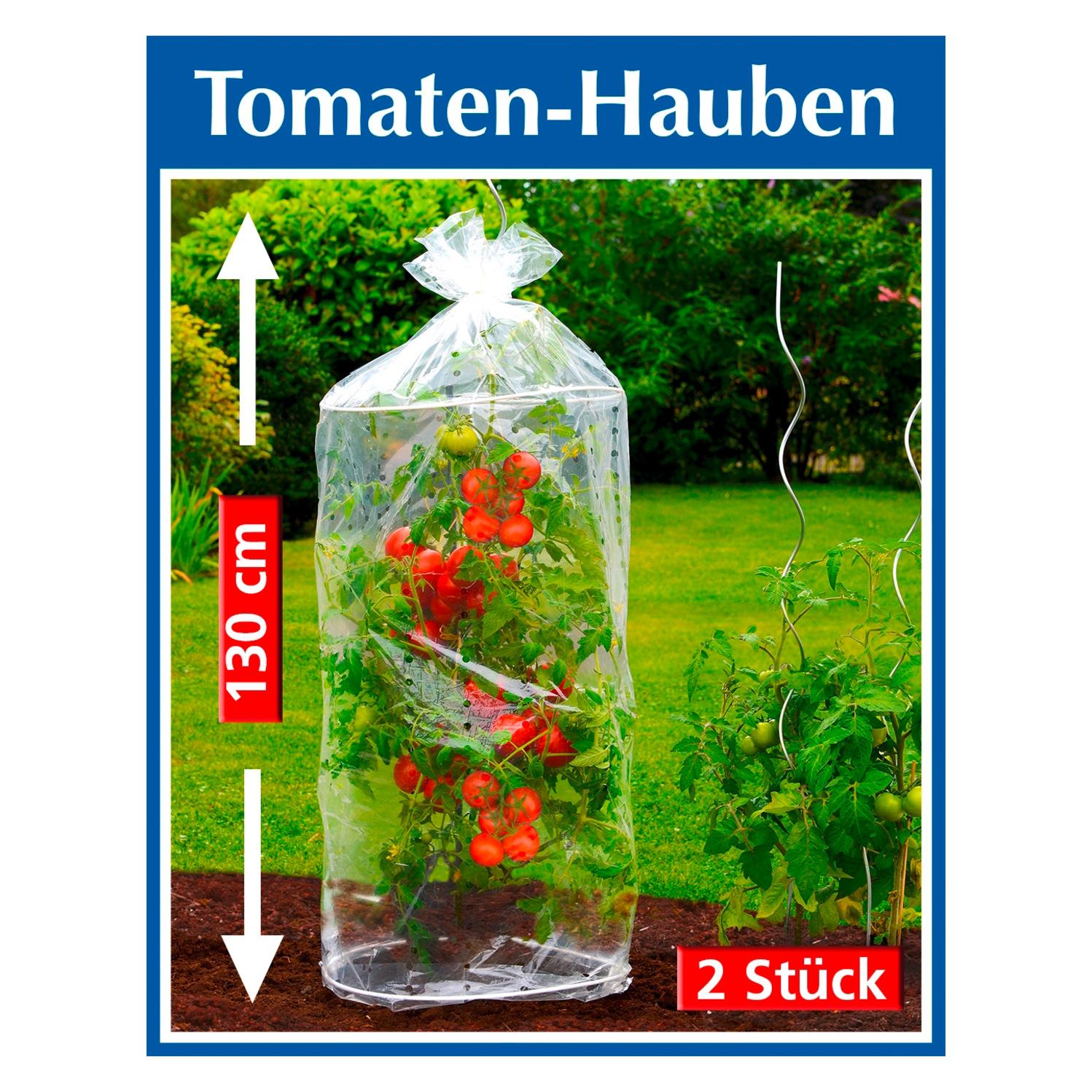 Wenko Tomaten-Hauben (10598274)