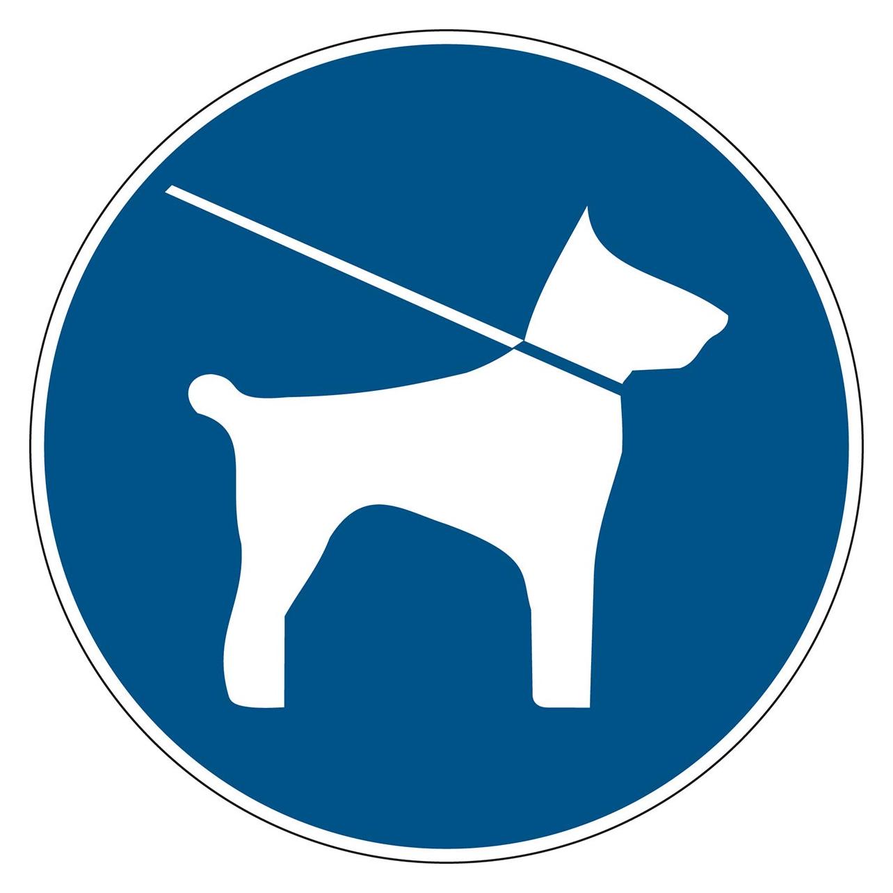 Brady PIC 1214-DIA 200-B7541, Gebotsschilder - Leinenzwang (222790)