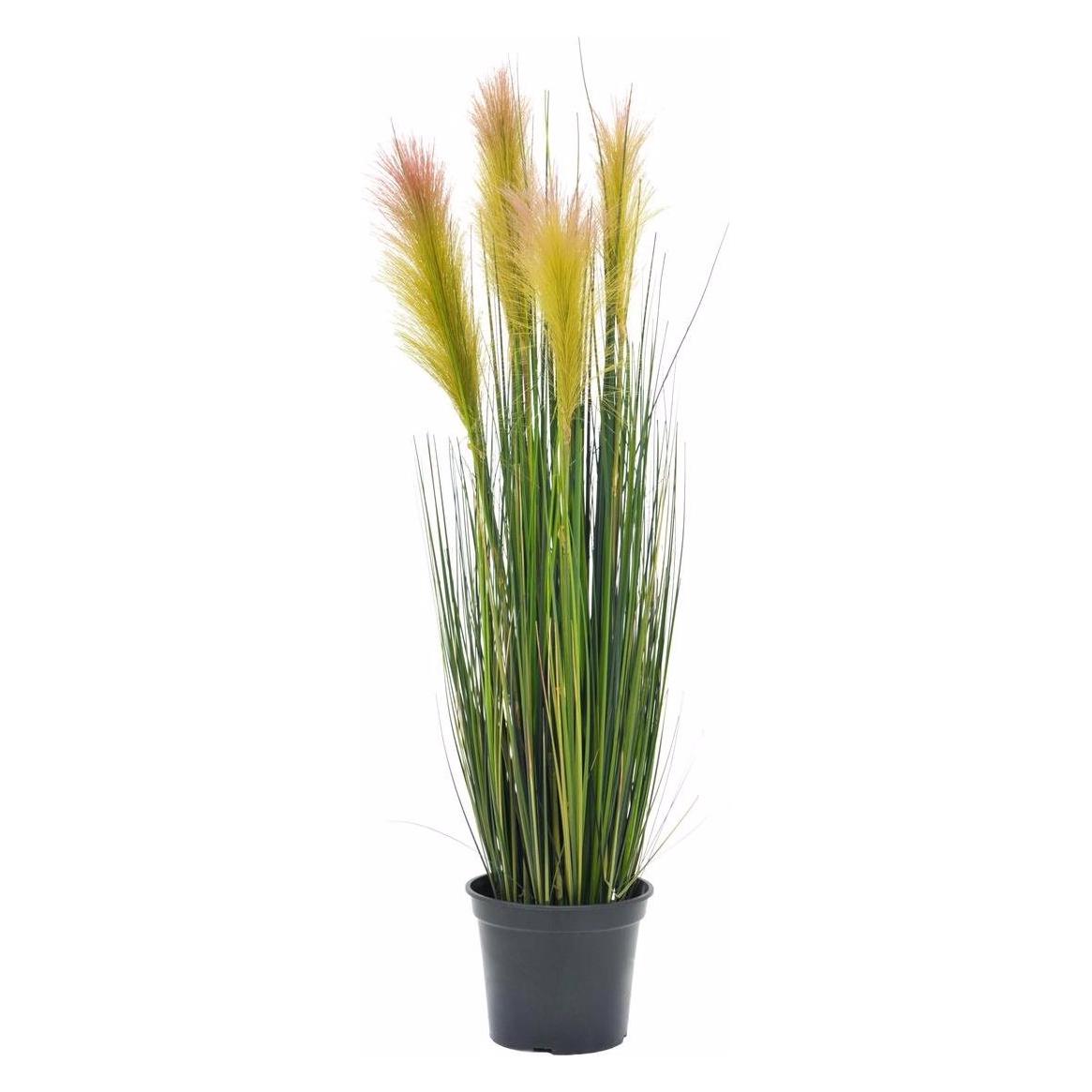 Europalms Federgras (90 cm) (82505865)
