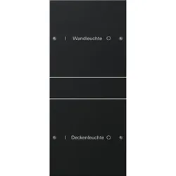 Gira Wippenset 2-fach 2202005