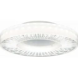 Ridi-Leuchten LED-Anbauleuchte IRIS-A 4500-830-ND