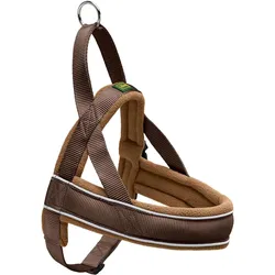 Hunter Norwegergeschirr Racing (M, S, Hund, Hundesport, Spazieren), Halsband + Leine