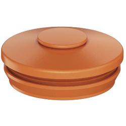 Spelsberg 26063201 Doppelmembranstutzen geschlossen Thermoplastisches Elastomer 1 St.