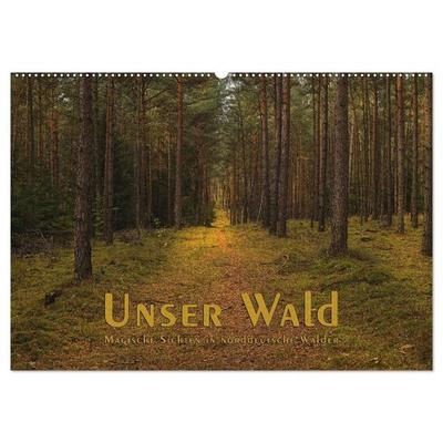 Unser Wald - Magische Sichten in norddeutsche Wälder (Wandkalender 2026 DIN A2 quer), CALVENDO Monatskalender