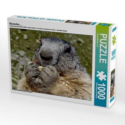 CALVENDO Puzzle Murmeltier..... | 1000 Teile Lege-Größe 64x48cm Foto-Puzzle für glückliche Stunden