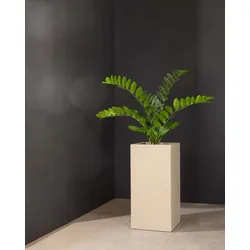Kunstpflanze mit Topf Glücksfeder 100 cm mit Polystone Pflanzsäule Creme