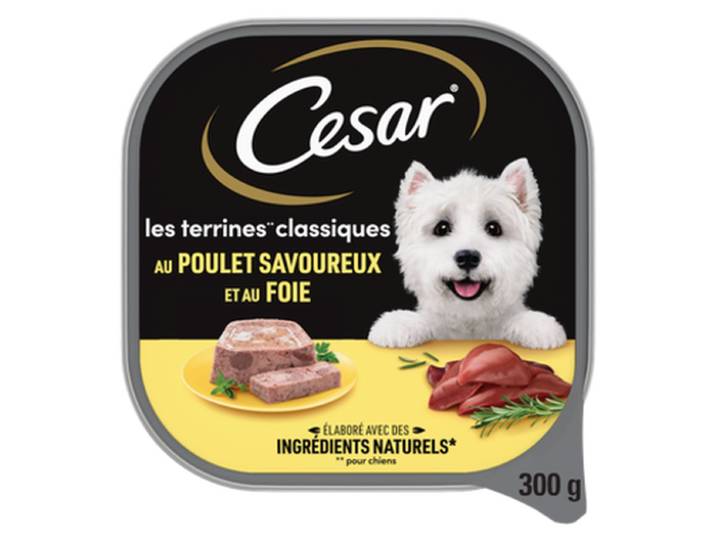 Cesar ALIMENT CHIEN TERRINE CLASSIQUE POULET 1 BARQ 300 g