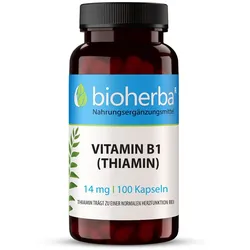 Vitamin B1 (Thiamin) 14 mg 100 Kapseln