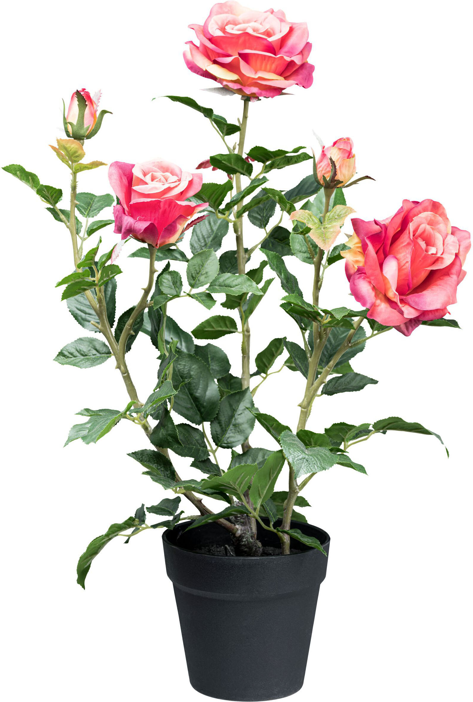 Kunstblume CREATIV GREEN "Rosenbusch", pink, H:58cm, Kunstpflanzen, Kunstblume, mit 3 Blüten und 2 Knospen