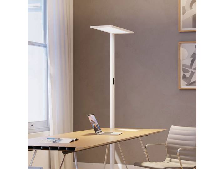 LED Stehleuchte Regent Lightpad Tunable Office Einzelkopf, Weiss, Neu, Professionelle Bürobeleuchtung