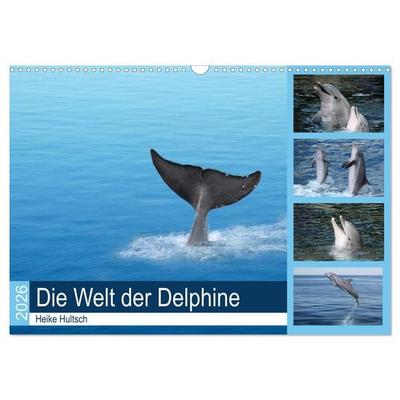 Die Welt der Delphine (Wandkalender 2026 DIN A3 quer), CALVENDO Monatskalender