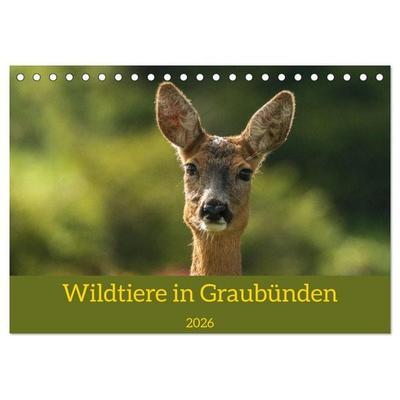 Wildtiere in Graubünden (Tischkalender 2026 DIN A5 quer), CALVENDO Monatskalender