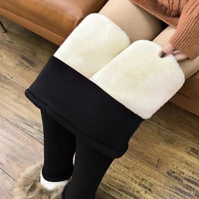 LightInthebox Women's Fleece Lined Leggings Cozy Fleece Lined Cozy Leggings winter leggings Solid Color Thermal Warm Soft High Elasticity Athletic Athleisure Black BlackGray Fall Winter