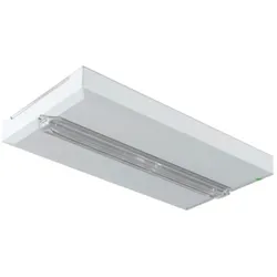 Ceag Notlichtsysteme Rettungszeichenleuchte FT2SE400ATL18