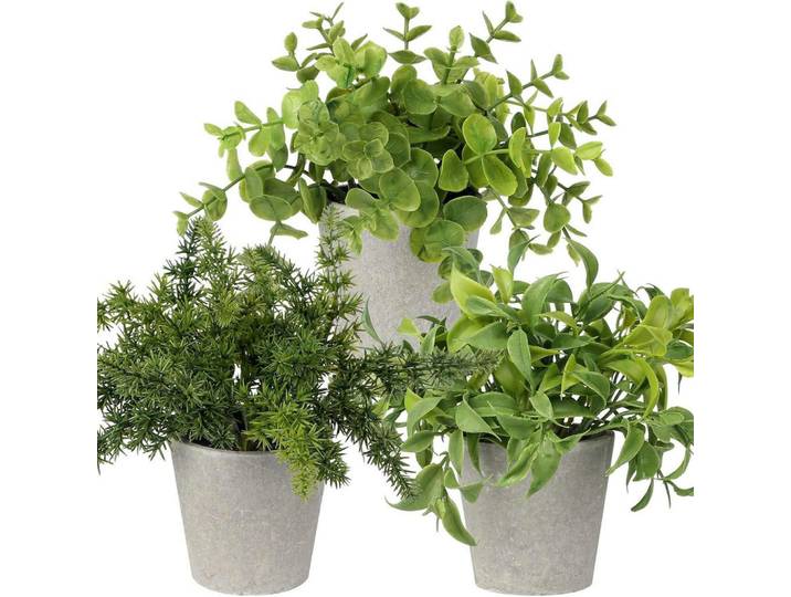 Kunstpflanzen 3er Set Zementtopf Grün, Kunststoff, 21.5 cm, Dekoration, Blumen & Blumentöpfe, Kunstpflanzen