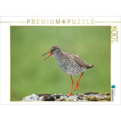 CALVENDO Puzzle Rotschenkel | 1000 Teile Lege-Größe 64x48cm Foto-Puzzle für glückliche Stunden