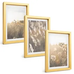BILDER SET 3er Set - 20x30 cm Goldrahmen - Landschaftsgrasblumen Wärme