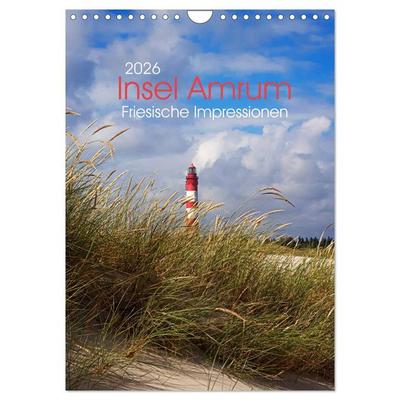 Insel Amrum - Friesische Impressionen (Wandkalender 2026 DIN A4 hoch), CALVENDO Monatskalender