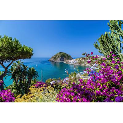 Fototapete PAPERMOON "ISCHIA ITALIEN-BOUGANVILLA INSEL MEER BLUME FELSEN WALD", bunt, B:2,5m L:1,86m, Vlies, Tapeten