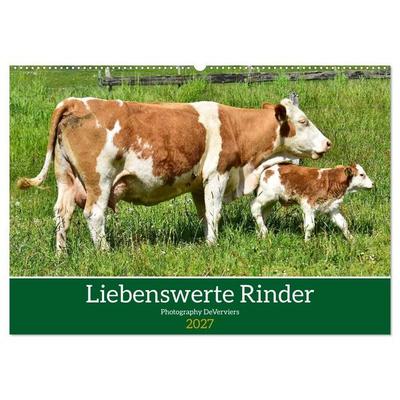 Liebenswerte Rinder (Wandkalender 2027 DIN A2 quer), CALVENDO Monatskalender