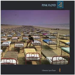 Sony Music, Schallplatten, Momentary Lapse Of Reason (Gate) (Ogv) (Pink Floyd)