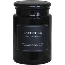 Chic Antique Lucon Duftkerze XL 95 Std, 580 g Lavender