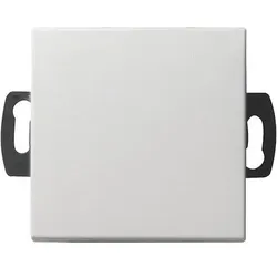 Gira Wipptaster o.Linse rws-gl 013803