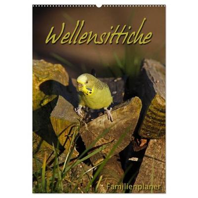 Wellensittiche (Wandkalender 2026 DIN A2 hoch), CALVENDO Monatskalender