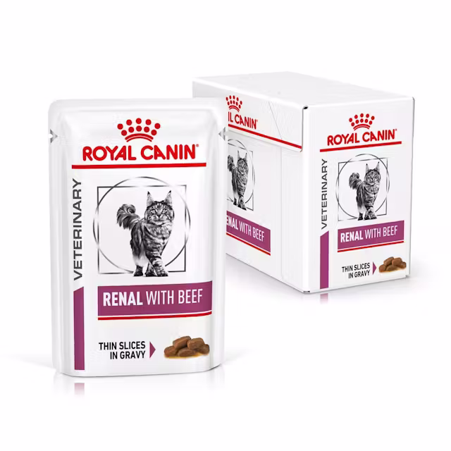 Royal Canin Renal mit Rindfleisch dünne Scheiben in Soße 12 x 85g