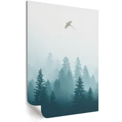 POSTER - 42x59 cm - Izaak - Ein Vogel im Flug