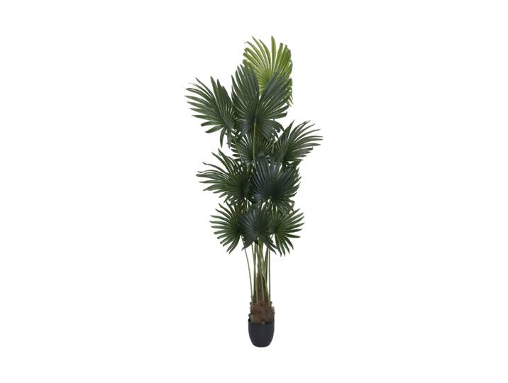 Lebensechte Kunstpflanze „Palm Tree Tuft“, verschiedene Grössen Grün Baq Design
