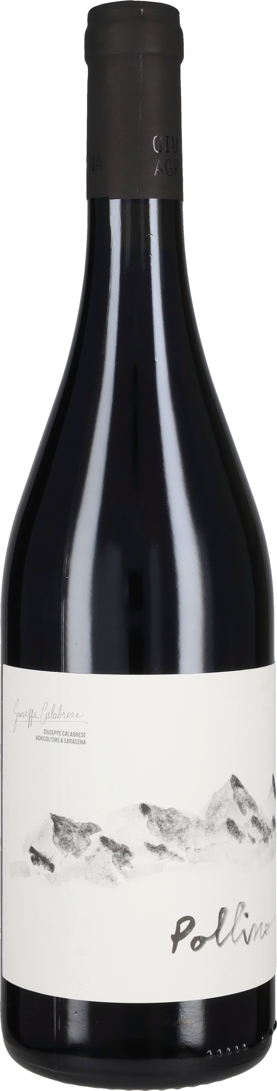 Calabrese Giuseppe Pollino Giuseppe Calabrese 2021