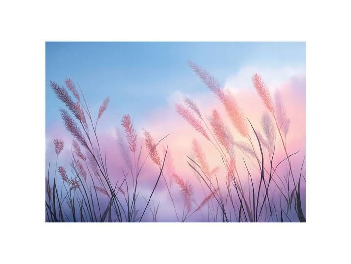 FOTOTAPETE Pampasgras Himmel Blau 350x250 cm